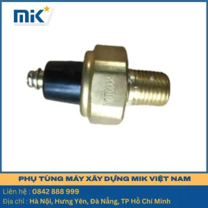 Cảm biến áp suất 30J0004